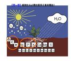 人教版九年级化学下册《化学肥料》展示课一等奖课件