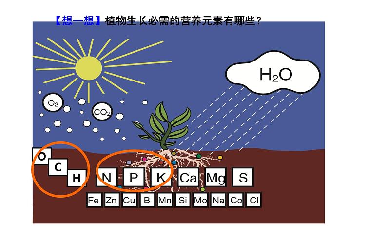 人教版九年级化学下册《化学肥料》展示课一等奖课件03