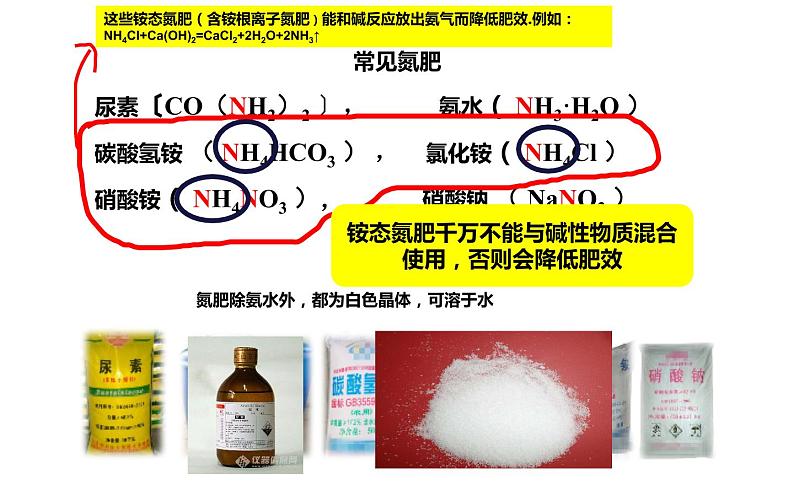 人教版九年级化学下册《化学肥料》展示课一等奖课件06