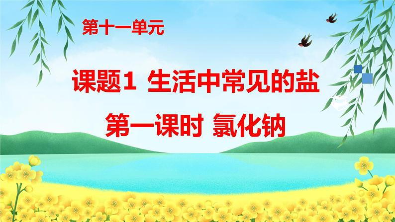 人教版九年级化学下册《生活中常见的盐》第一课时优课教学课件01