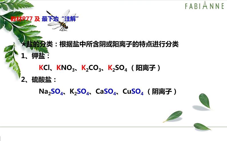 人教版九年级化学下册《生活中常见的盐》优课一等奖课件05