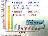 人教版九年级化学下册《化学元素与人体健康》公开课教学课件.ppt