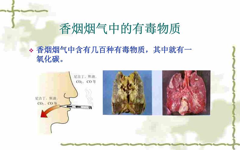 人教版九年级化学下册《人类重要的营养物质》优质课一等奖课件.ppt07