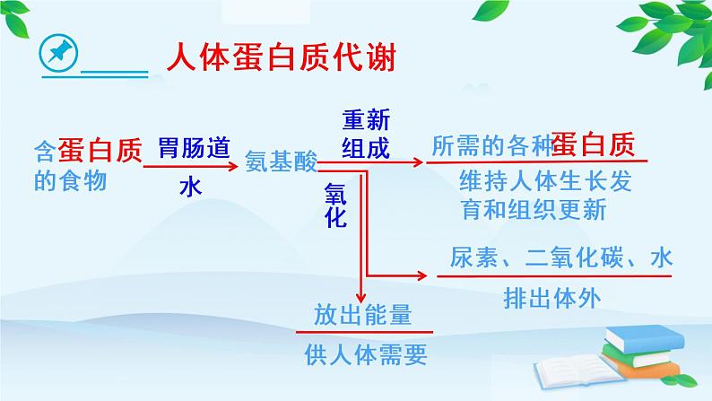 人教版九年级化学下册《人类重要的营养物质》优课一等奖课件07