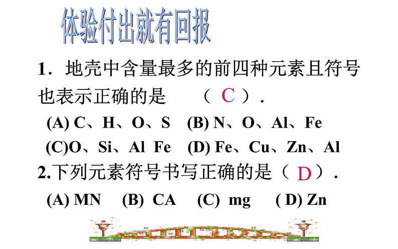 中考化学专题复习《化学用语》第4页