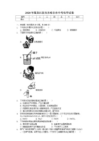 2020年黑龙江省齐齐哈尔市中考化学试卷