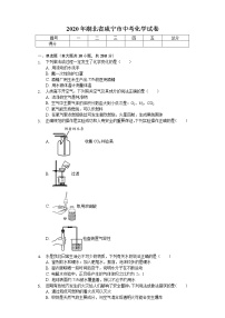 2020年湖北省咸宁市中考化学试卷