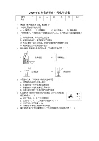 2020年山东省菏泽市中考化学试卷