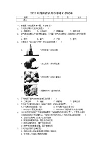 2020年四川省泸州市中考化学试卷