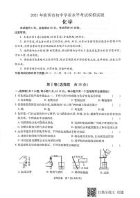 2021年陕西省初中学业水平考试模拟考试化学试题