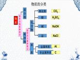 人教版部编九年级下册11.1 生活中常见的盐第一课时 精品课件