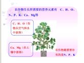 人教版部编九年级下册11.2 化学肥料(共28张PPT)