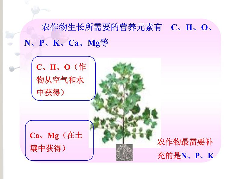 人教版部编九年级下册11.2 化学肥料(共28张PPT)03