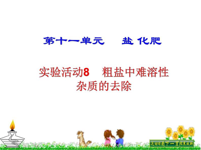 人教版部编九年级下册第十一单元 实验活动8粗盐中难溶性杂质的去除 (共21张PPT)01