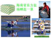 人教版部编九年级下册第十一单元 实验活动8粗盐中难溶性杂质的去除 (共21张PPT)