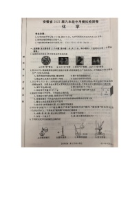 2021年安徽省九年级中考模拟化学检测卷（图片版，有答案）