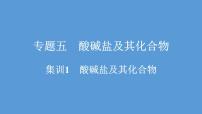 2021河南中考化学专题课件  专题5　集训1　酸碱盐及其化合物