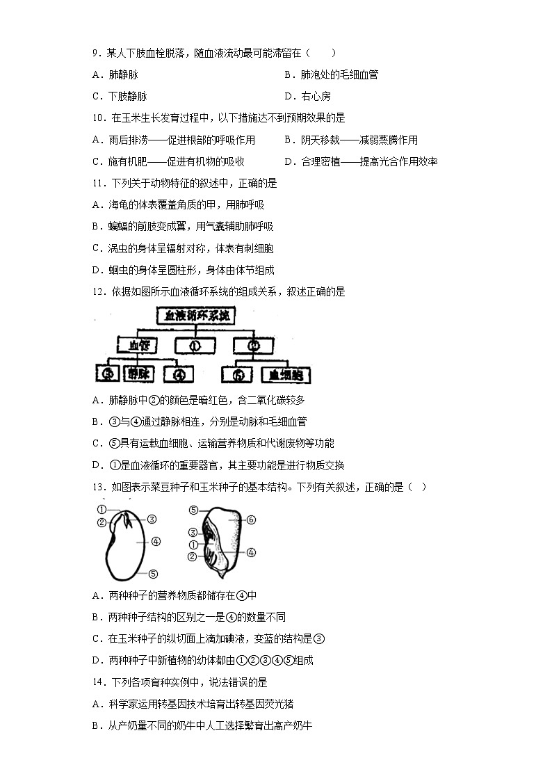 2021年山东省青岛市城阳区一模考试生物试题（word版 含答案）03