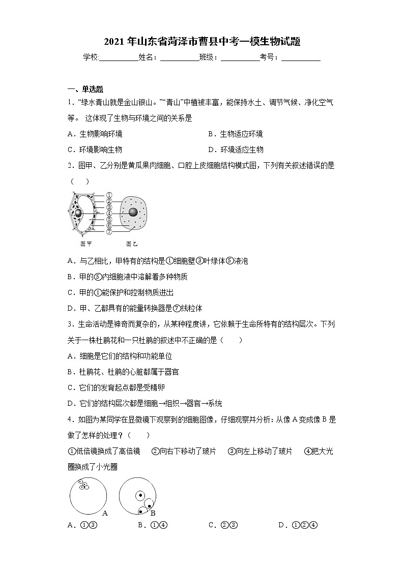 2021年山东省菏泽市曹县中考一模生物试题（word版 含答案）01