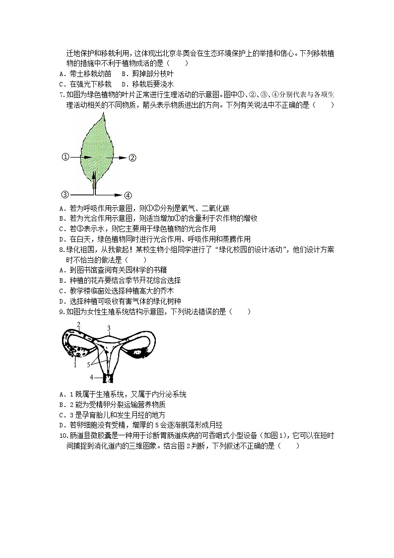 2021年山东省聊城市莘县中考模拟生物试题4第2页