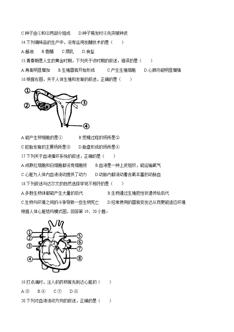 2021年福建省泉州市中考二模生物试题03