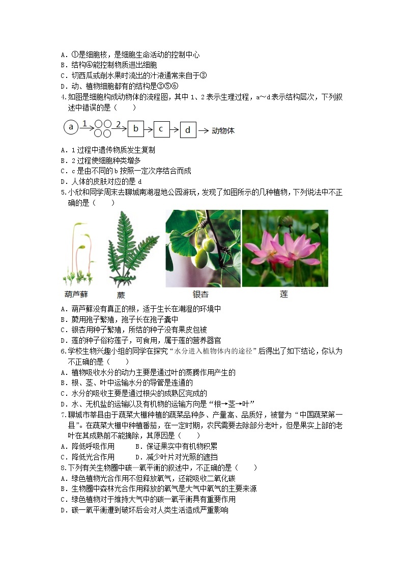 2021年山东省聊城市莘县中考模拟生物试题302