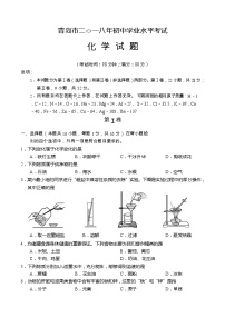 山东省青岛市2018年中考化学试题（word版，含答案）