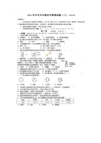 2021年山东省临沂市中考化学模拟试题（二模）化学试题