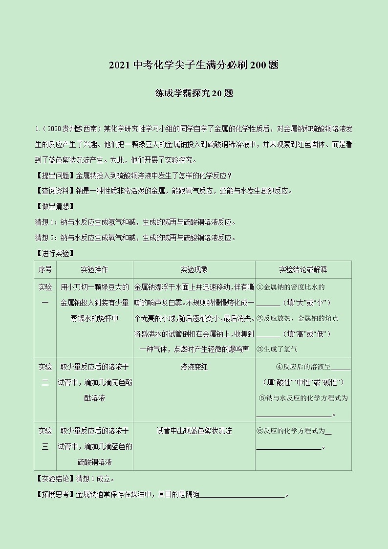 2021中考化学冲刺特训  特训08 练成学霸探究20题 (尖子生专用)01
