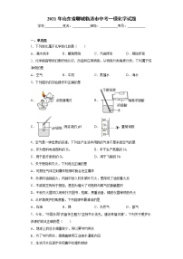 2021年山东省聊城临清市中考一模化学试题（word版 含答案）