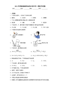 2021年河南省南阳市内乡县中考一模化学试题(word版含答案）