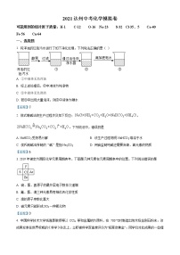 2021年四川省达州市中考模拟化学试题