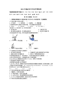 2021年山东省临沂市中考化学模拟试卷