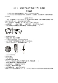 2021山东省菏泽市东明县中考四模生物试题（word版 含答案）