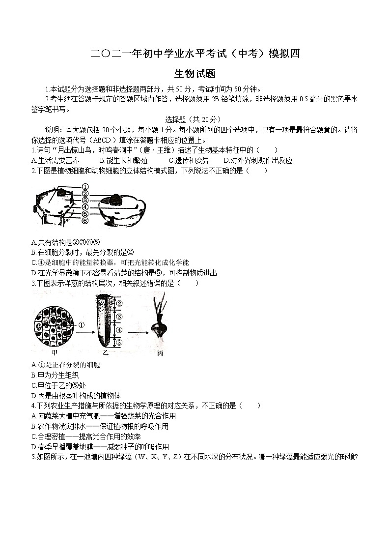 2021山东省菏泽市东明县中考四模生物试题（word版 含答案）01