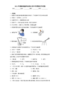 2021年湖南省益阳市桃江县中考模拟化学试题（word版 含答案）