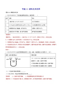 2021年化学中考真题分类汇编详解通用卷 专题10 燃料及其利用（1）