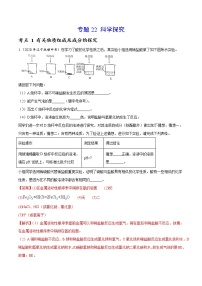 2021年化学中考真题分类汇编详解通用卷 专题22 科学探究（1）