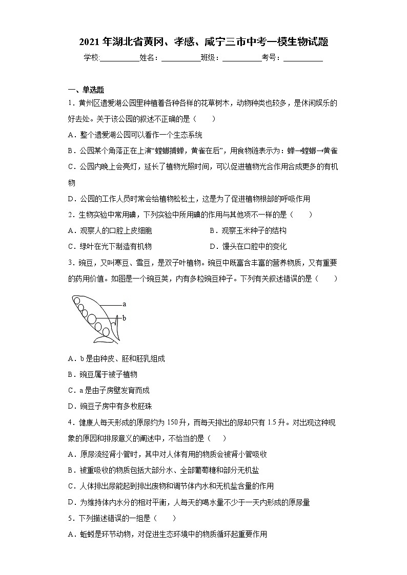 2021年湖北省黄冈、孝感、咸宁三市中考一模生物试题（word版 含答案）01