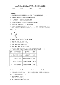 2021年山东省济南市历下区中考三模生物试题（word版 含答案）