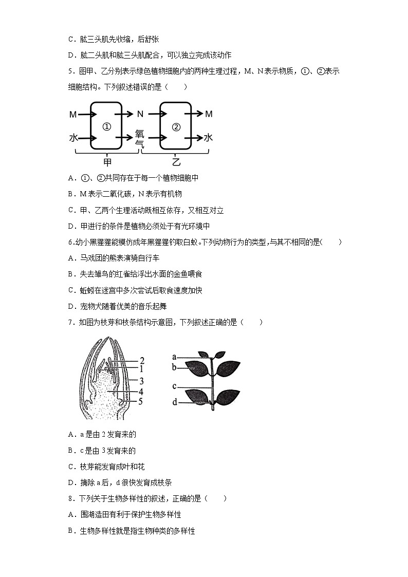 2021年山东省济南市历下区中考三模生物试题（word版 含答案）02