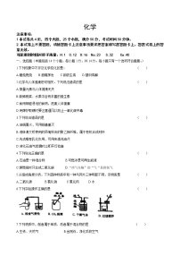 2021年河南省商丘市中考三模化学试题