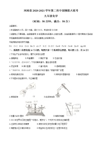 2021年河南省中考二模大联考化学试题（含解析）