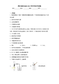 四川省乐山市2021年中考化学试题（word版 含答案）