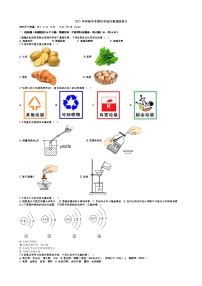 2021年中考化学模拟考场仿真演练卷（考试版）（河南卷）-