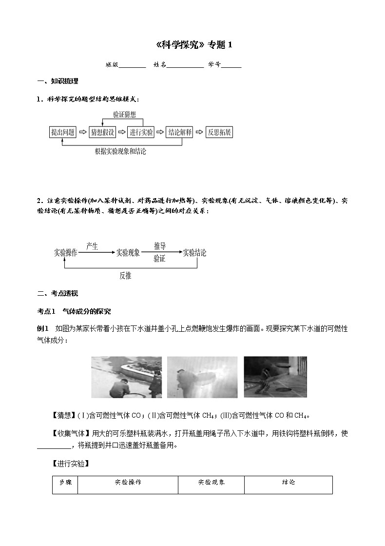 科学实验探究 考点测试 2021年中考化学专题复习试卷第1页