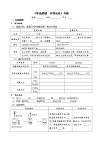 常见的碱  中和反应 考点测试 2021年中考化学专题复习试卷