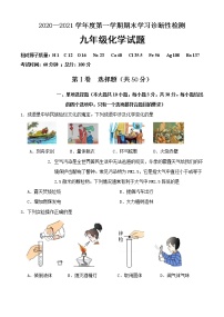 山东省济南市平阴县2020-2021学年九年级上学期期末考试化学试题（word版 含答案）