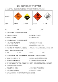 四川省泸州市2021年中考化试题及答案解析 (原卷+解析卷)