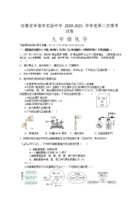 【化学模拟】安徽省阜阳市实验中学2020-2021学年度第二次模拟考试卷（含答案）